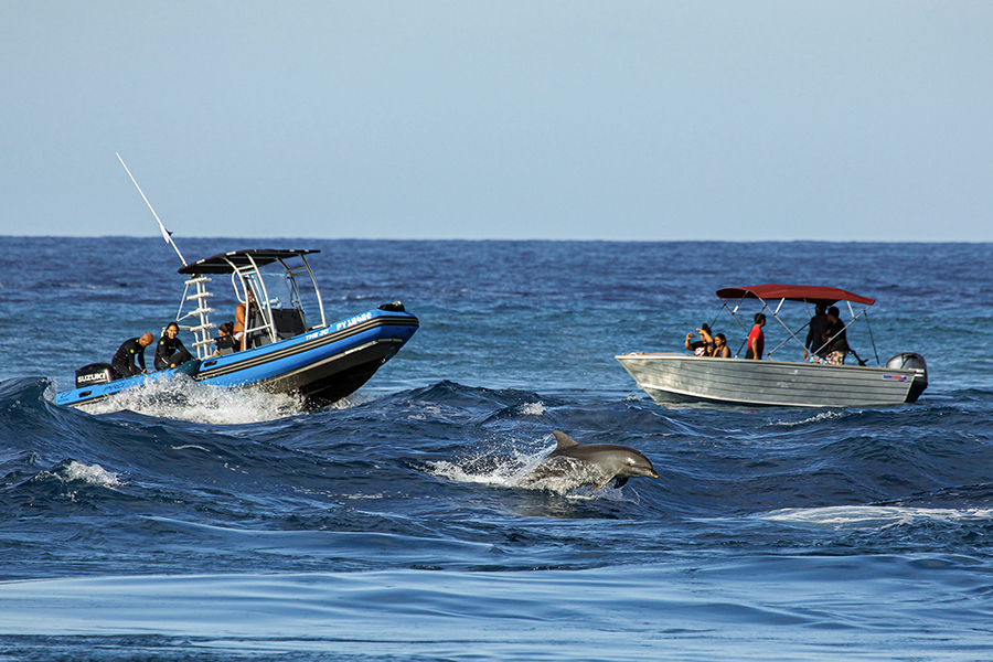Dive boat in Tiputa Pass