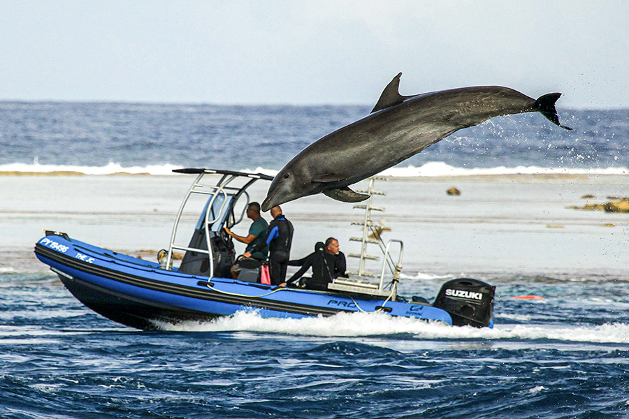 Dive boat