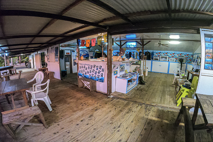 Dive shop
