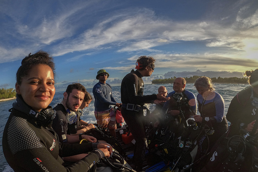 Sunset dive