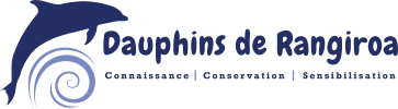 Dauphins de Rangiroa