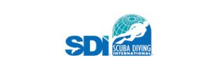 SDI